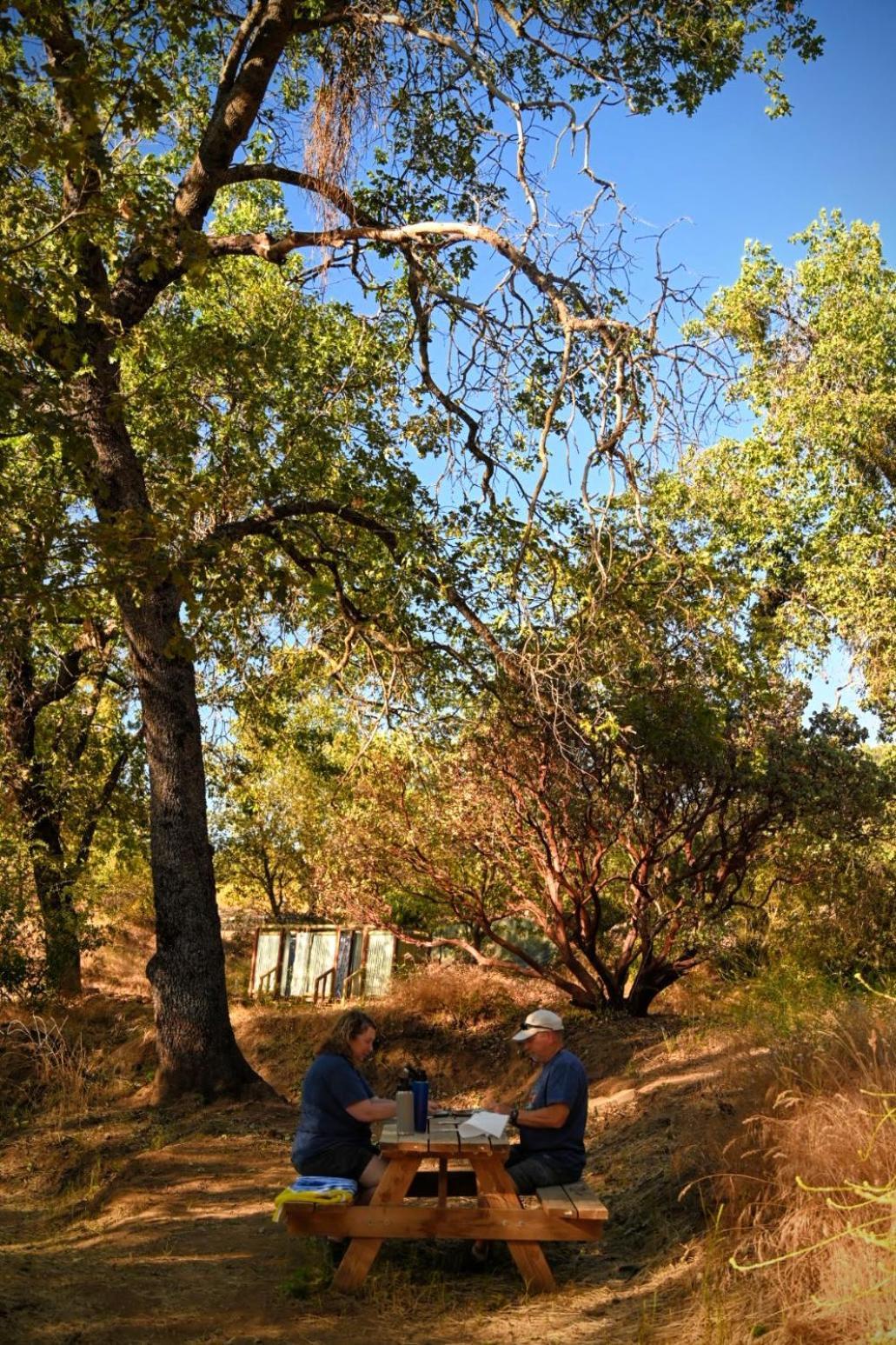 Campground At Sequoia Mountain Farms - Bring Your Own Tent Or Rv - No Bedrooms Or Beds Provided Miramonte 外观 照片